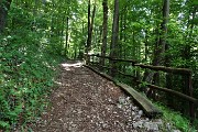 Al Perello sul sent. CAI 514 e al Monte Castello da casa, da Zogno il 23 maggio 2019 - FOTOGALLERY